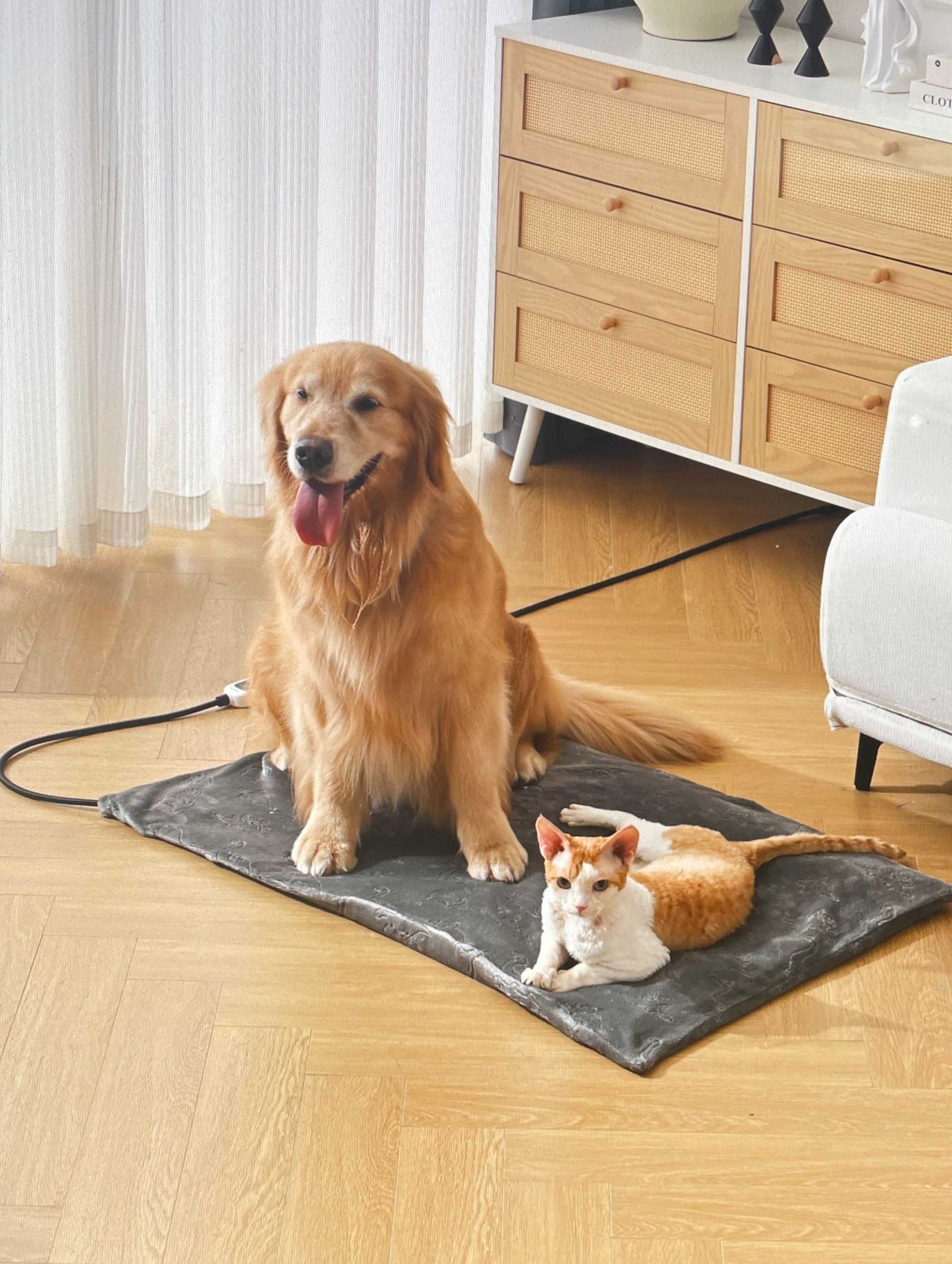 FANTICO Pet Heating Pad for Cats Dogs, Waterproof Electric Heating Mat Indoor, Adjustable Warming Mat, Pets Heated Bed with Chew Resistant Steel Cord (18" x 18")