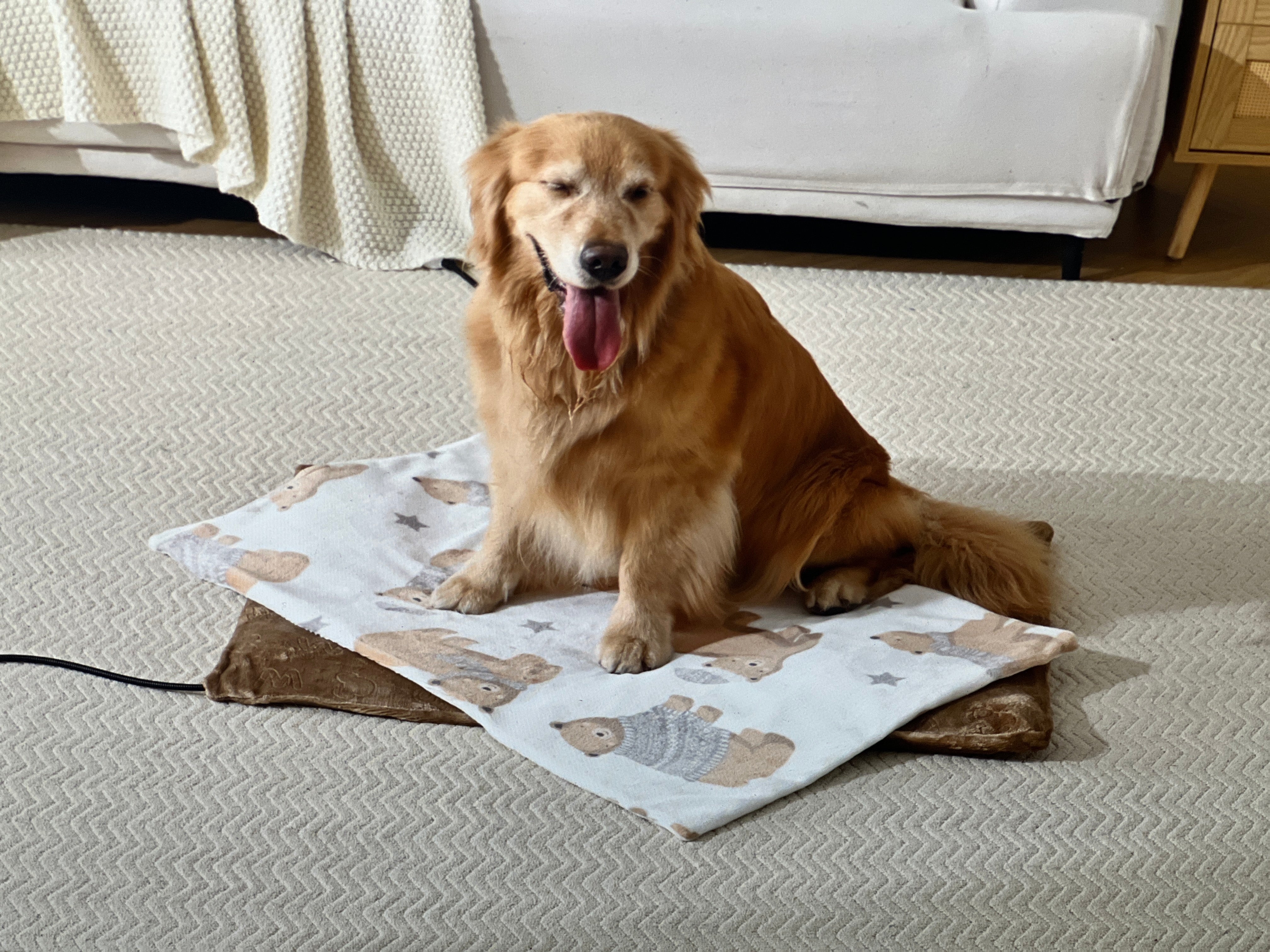 FANTICO Pet Heating Pad for Cats Dogs, Waterproof Electric Heating Mat Indoor, Adjustable Warming Mat, Pets Heated Bed with Chew Resistant Steel Cord (18" x 18")