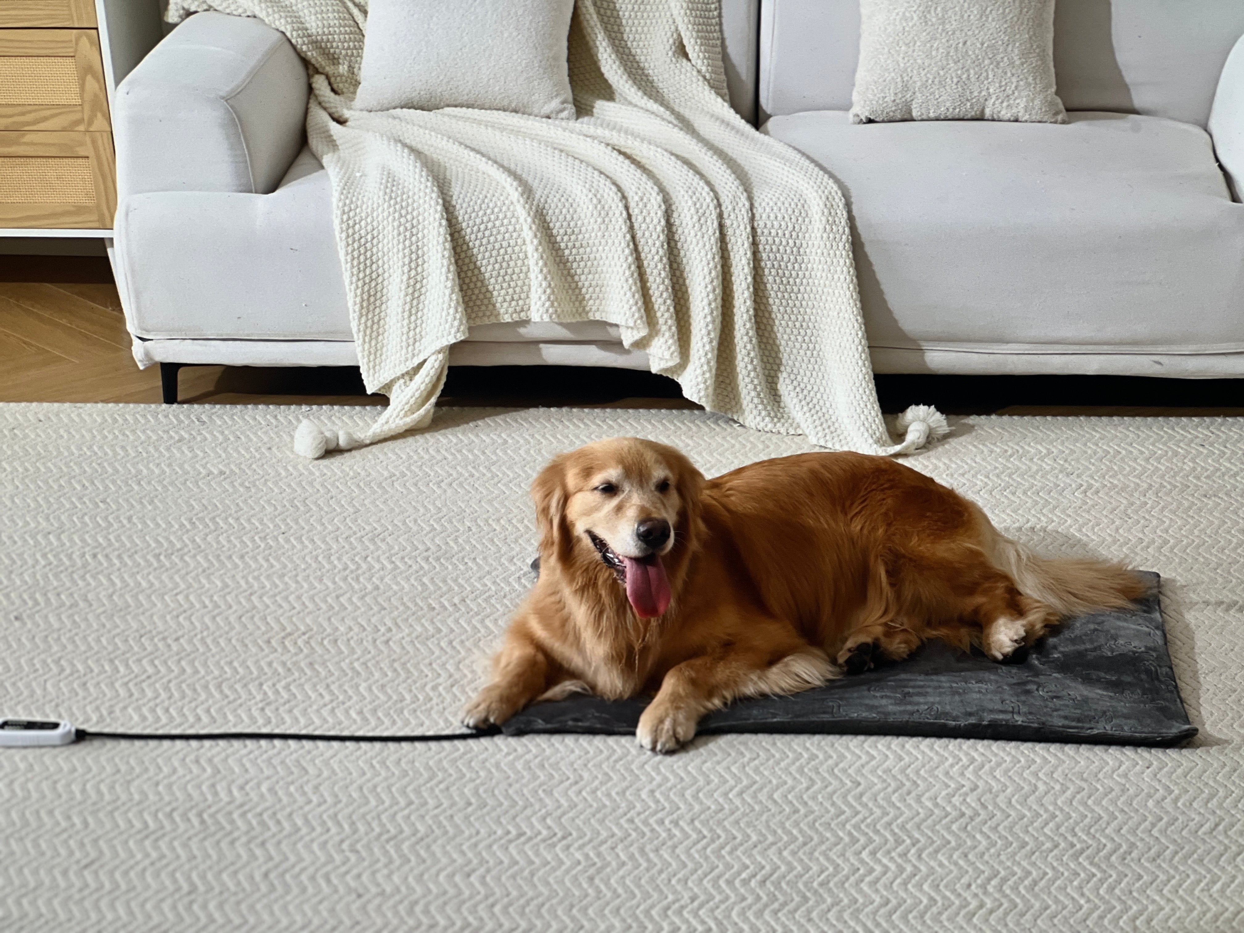 FANTICO Pet Heating Pad for Cats Dogs, Waterproof Electric Heating Mat Indoor, Adjustable Warming Mat, Pets Heated Bed with Chew Resistant Steel Cord (18" x 18")