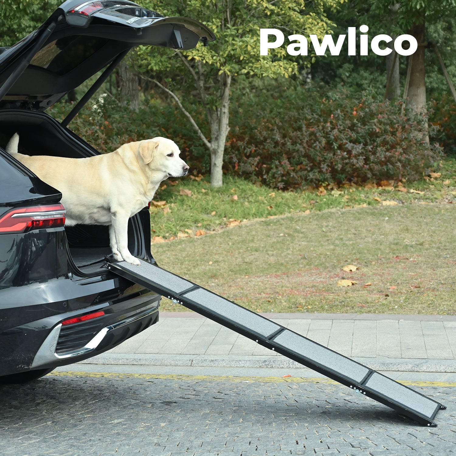 Pawlico® Folding Dog Ramp