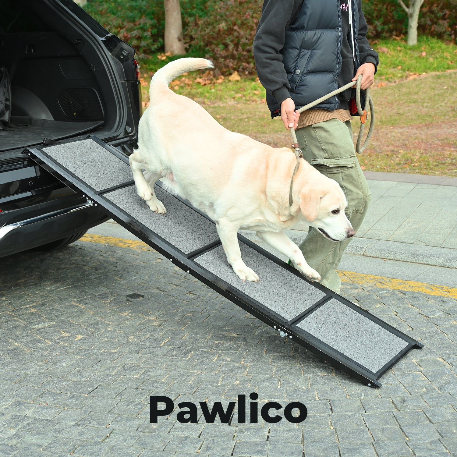 Pawlico® Folding Dog Ramp