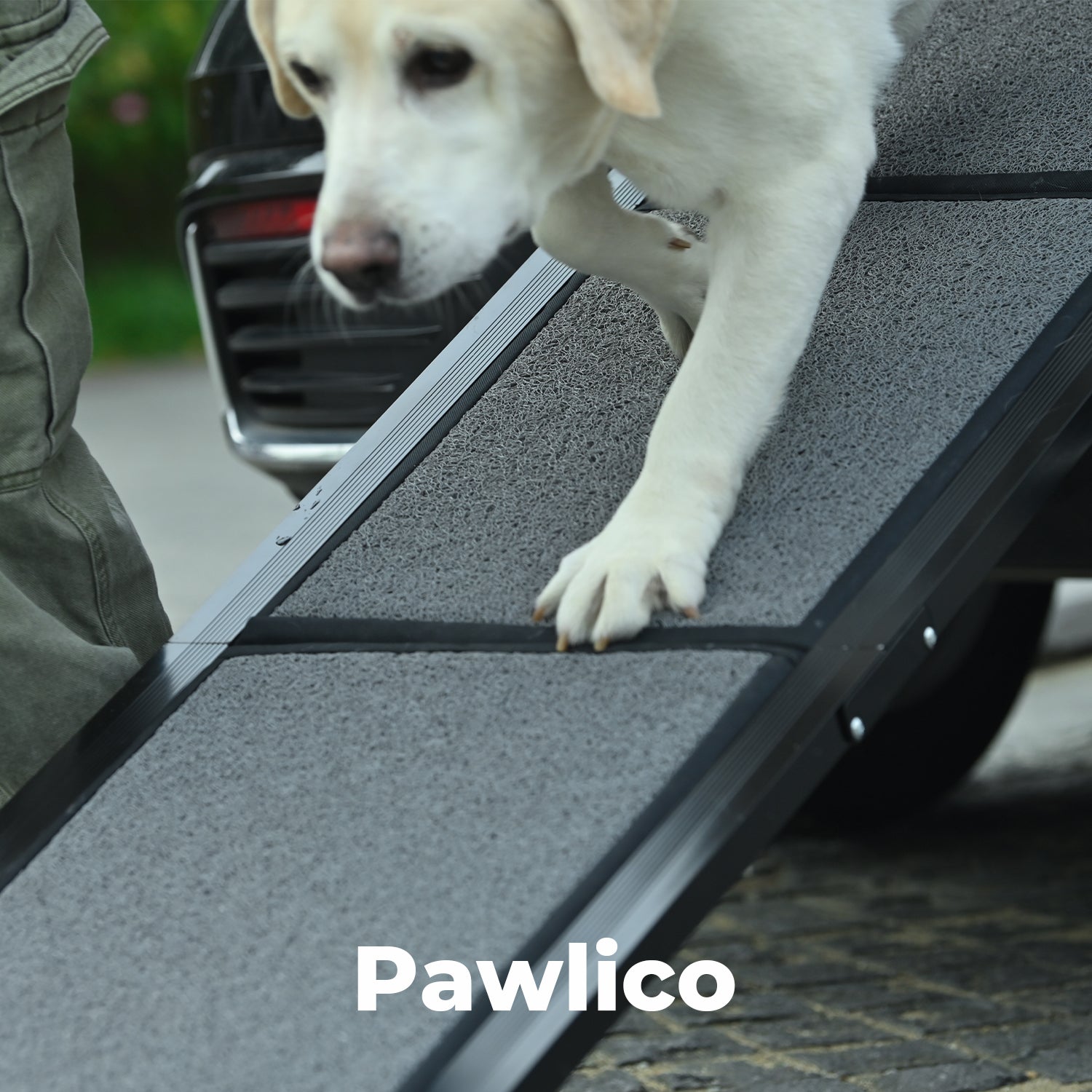 Pawlico® Folding Dog Ramp