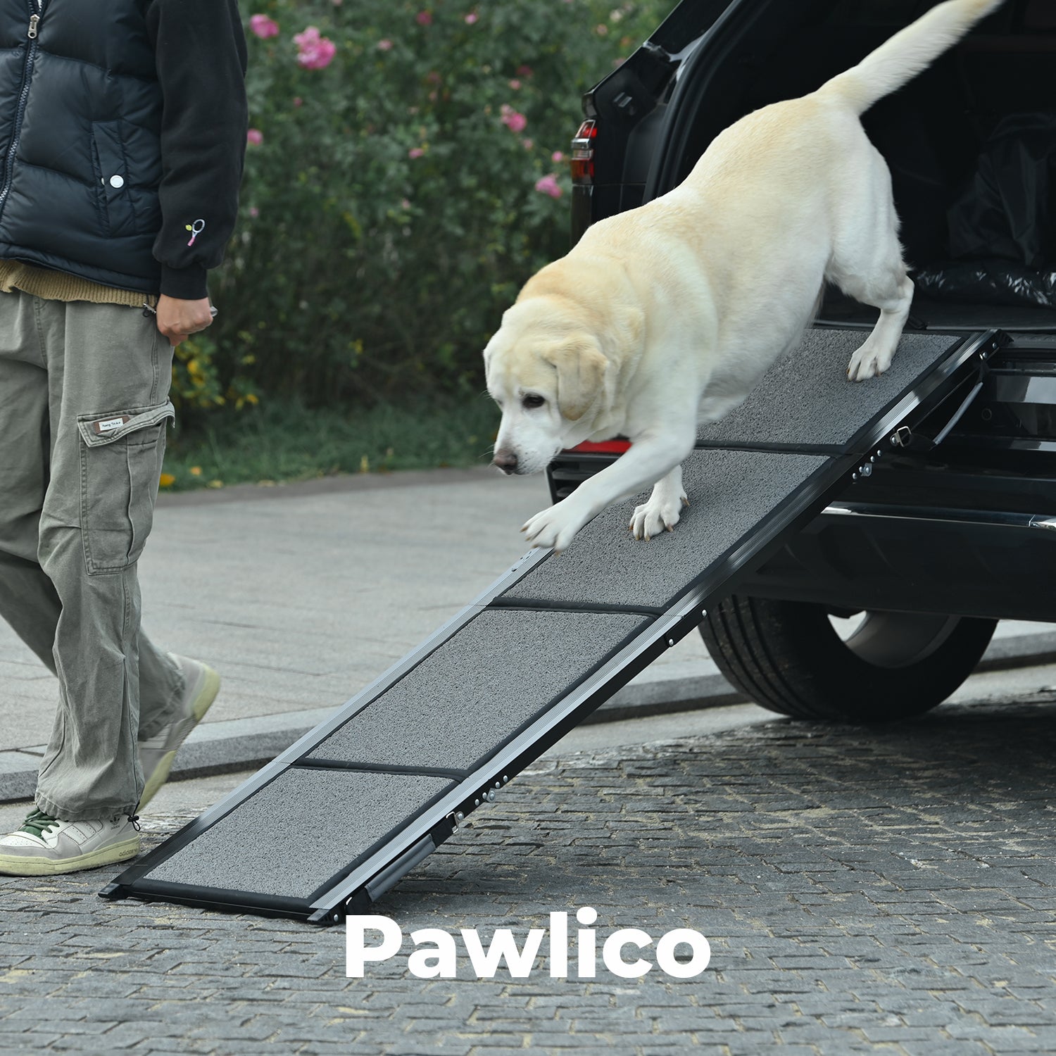 Pawlico® Folding Dog Ramp